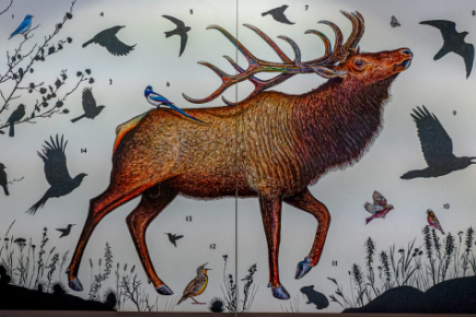 A Unique Blend of Nature and Creativity