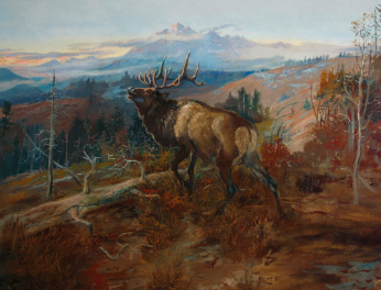 Artistic Techniques and Mediums