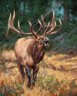 Choosing Elk Art Pieces