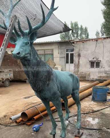 Choosing the Right Medium