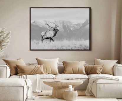 Choosing the Right Size