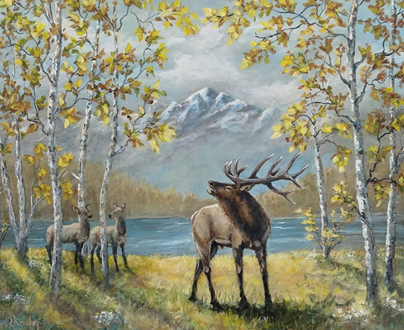 Community Engagement and Events