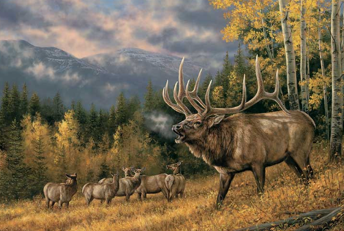 Connecting with Nature Through Elk Art