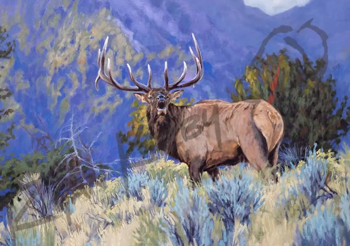 Discovering the Beauty of Elk Art