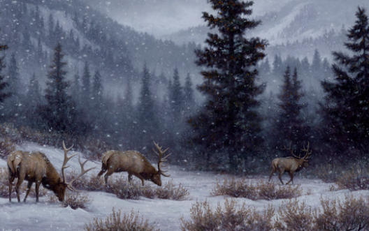 Elk Art Depicting Solitude and Strength