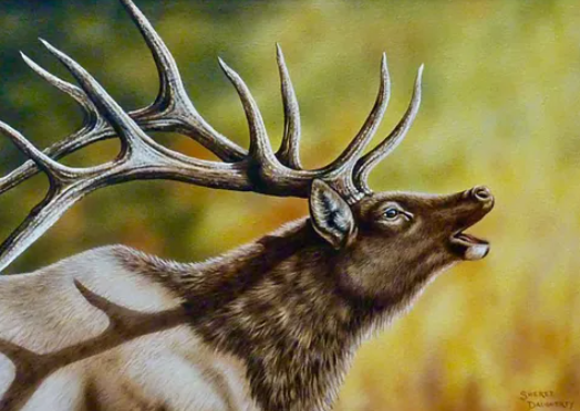 Elk Art and Natural Drama