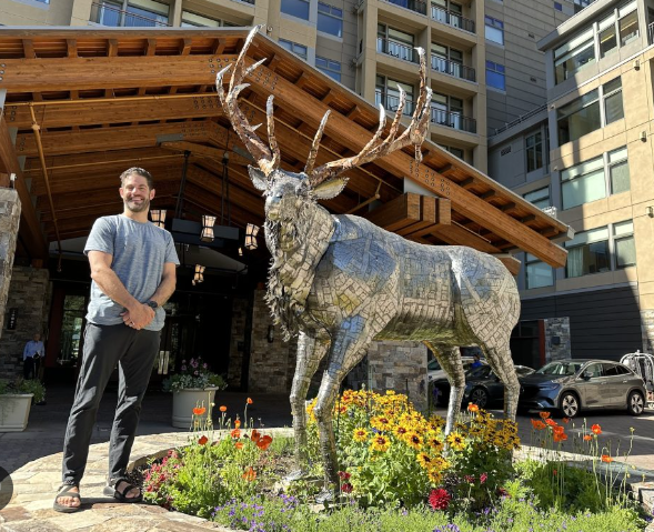 Elk Art in Luxury Lodges2