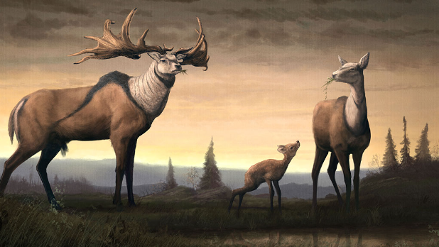 The Cultural Significance of Elk in Art