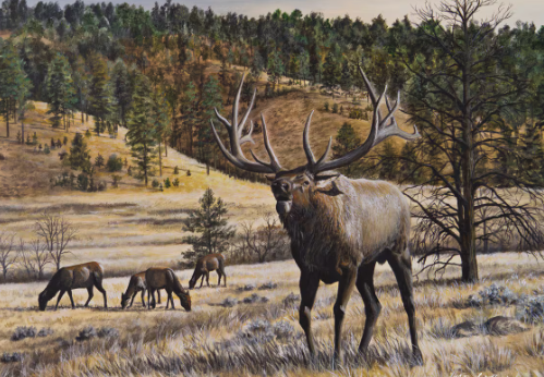 The Majesty of Elk in Art