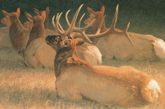 The Process of Commissioning Elk Art