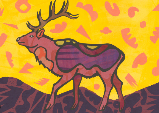 Why Choose Elk as a Subject